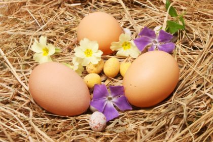 Frühling und Ostern stehen vor der Tür! Genießen Sie unsere Ostermenüs und unseren Osterbrunch!